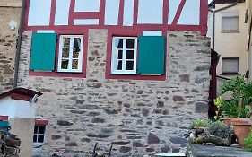 Ferienhaus Am Moselstausee